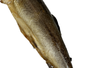 Geräucherte Forelle